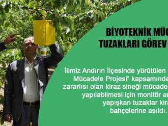 Biyoteknik Mücadele Tuzakları Görev Başında