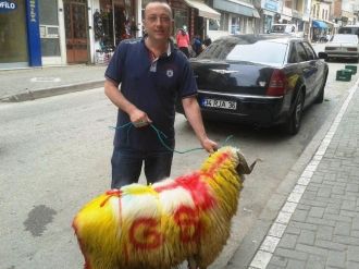 Tuttuğu Takım Şampiyon Olunca Adak Kesti