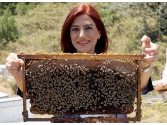 Bu Bölüme Gelen Her Öğrenciye Bir Arı Kolonisi Veriliyor