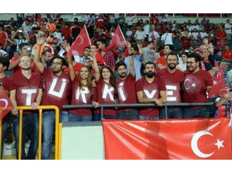 Euro 2016 Grup Elemeleri