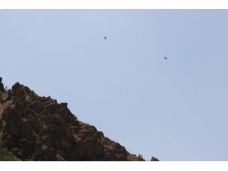 Hakkari- Çukurca Güzerhagında Yoğun Hava Hareketliliği