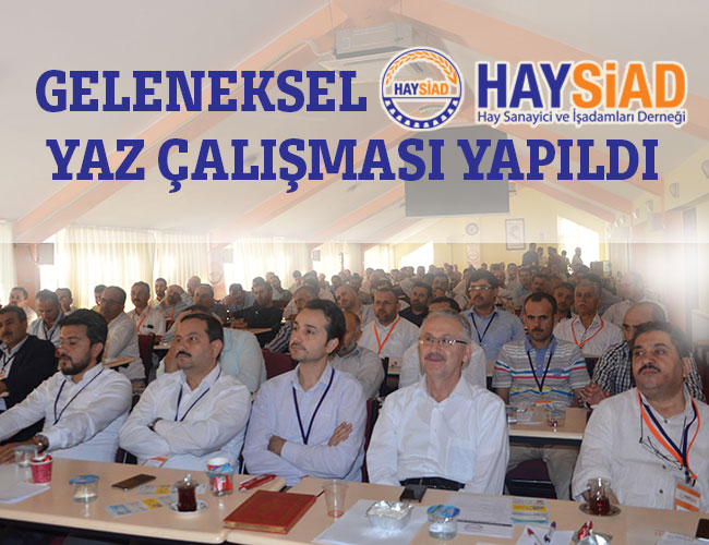 Geleneksel HAYSİAD Yaz Çalışması Yapıldı