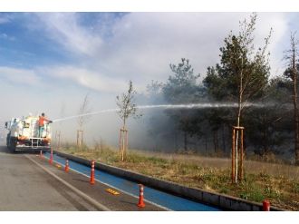 Orman Yangını Korkuttu