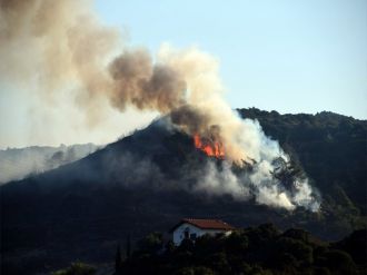 Çeşme’de Ormanlık Alanda Yangın