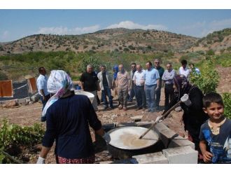 Besni’de Organik Üzüm Hasadı Başladı