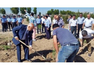 Yenimahalle’den Zabıtalar İçin Hatıra Ormanı