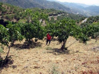 Aydın’da 5 Gündür Aranan Yaşlı Kadın Ölü Olarak Bulundu