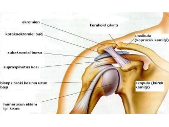 Omuz Artroskopisi Nedir?