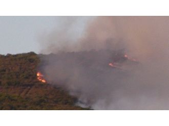 Pendik’te Ormanlık Alanda Korkutan Yangın