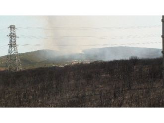 Tuzla Piyade Okulu Ormanında Yeniden Yangın Çıktı