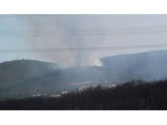 Tuzla’da Yangın Kabusu Sürüyor