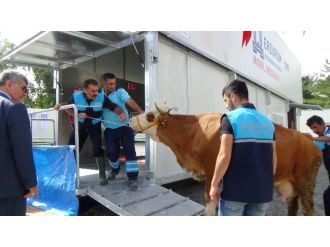 Erzurum Büyükşehir Belediyesi’nden Mobil Mezbaha