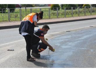 İzmit’te Yola Dökülen Kimyasal Atık Paniğe Neden Oldu