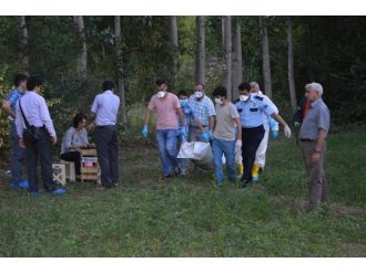 Niksar’da Tarlada Ceset Bulundu