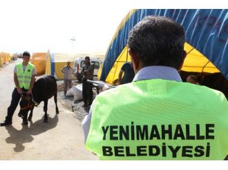 Yenimahalle’nin Kurban Timi İş Başında