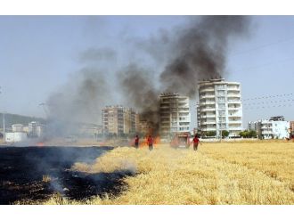 Mahalle Arasındaki Anız Yangını Korkuttu