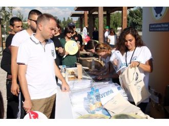 2. Büyük Lenfoma Yürüyüşü