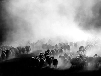 Teröristler Yaylalardaki Çobanları Tuzağa Düşürüyor