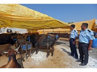 Konak’ta Kurban Satış Ve Kesim Yeri Hazır