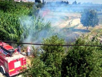 Söke’de Sazlık Alanda Çıkan Yangın Korkuttu