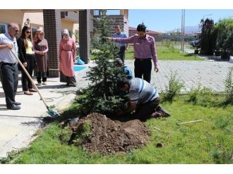 Engelsiz Yaşam Bakım Ve Rehabilitasyon Merkezi’nde Fidan Dikim Etkinliği