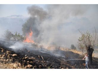 Tunceli’deki Yangın Korkuttu