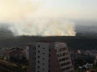 Odtü Ormanlarında Korkutan Yangın