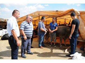 Pursaklar’da Kurbanlıklara Sıkı Denetim