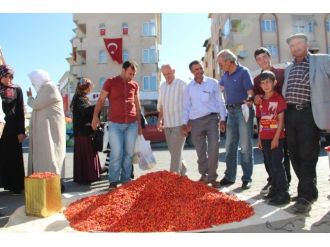 Oltu Pazarında Kuşburnu İzdihamı