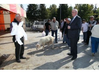 Odunpazarı’nda Hizmetler Ücretsiz