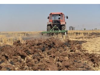 Diyarbakır Büyükşehir Belediyesinden Kadınlara İstihdam