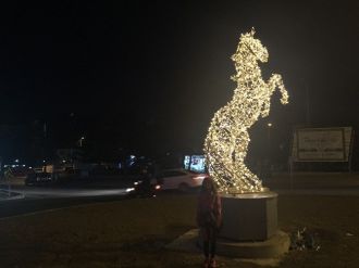 Bolu Caddeleri Led Işıklı At Figirü İle Renklendi