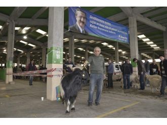 Tepebaşı Belediyesi Kurban Bayramı’na Hazır