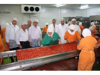 Vali Bektaş Gıda Üretim İşletmelerinde İncelemelerde Bulundu