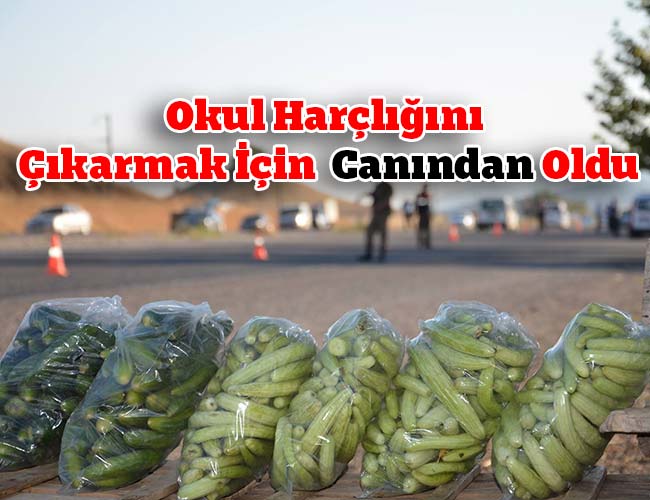 Okul Harçlığını Çıkarmak İçin  Canından Oldu