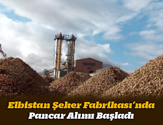 Elbistan Şeker Fabrikası’nda Pancar Alımı Başladı