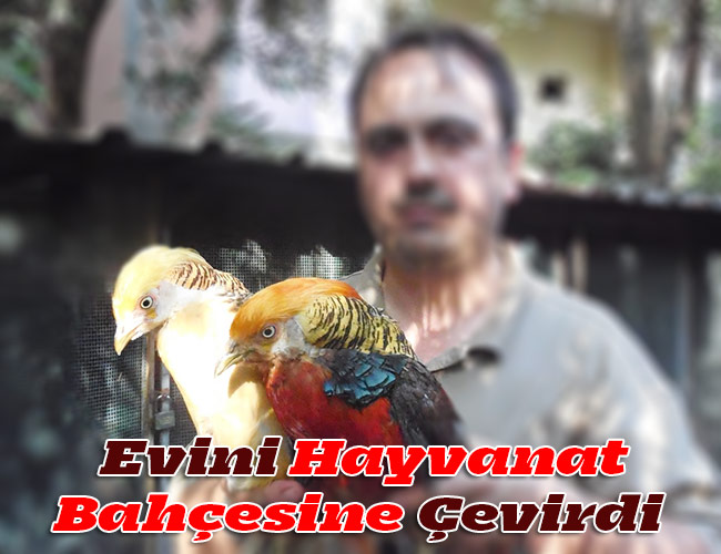 Evini Hayvanat Bahçesine Çevirdi