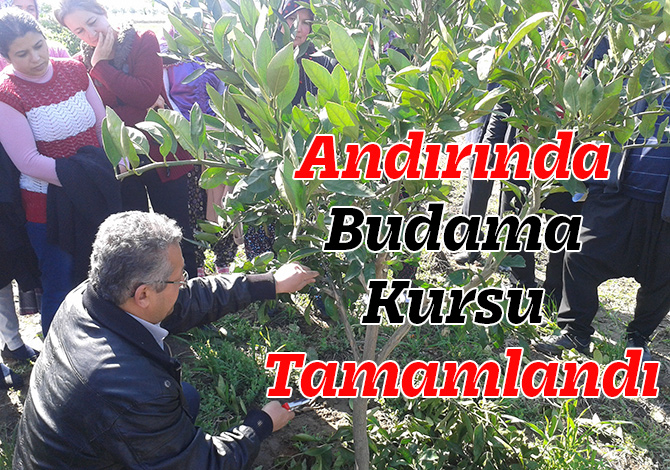 Andırında Budama Kursu Tamamlandı