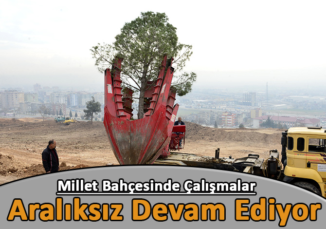 Millet Bahçesinde Çalışmalar Aralıksız Devam Ediyor