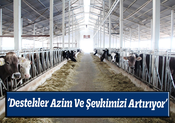 ‘Destekler Azim Ve Şevkimizi Artırıyor’