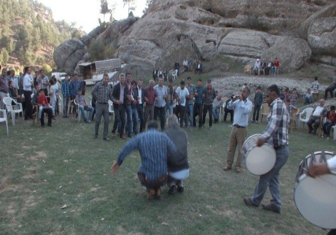 Savaş Değil Düğün