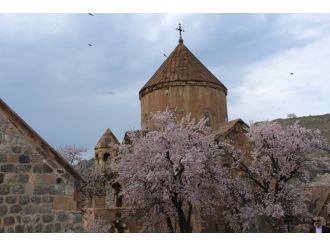 Akdamar Adası çiçek açtı