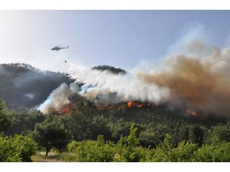 Orman yangınlarına müdahale için hazırlar