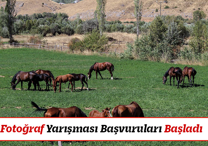 Fotoğraf Yarışması Başvuruları Başladı