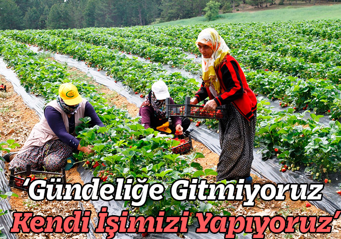 ‘Gündeliğe Gitmiyoruz Kendi İşimizi Yapıyoruz’