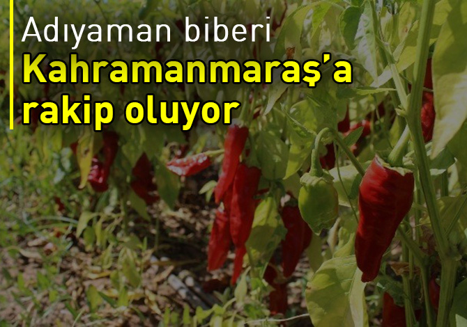 Kahramanmaraş’a rakip oluyor