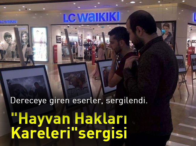 "Hayvan Hakları Kareleri" sergisi