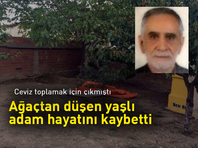 Ağaçtan düşen yaşlı adam hayatını kaybetti