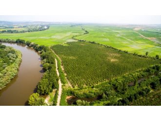 Meriç Nehri sınırı böyle korunuyor!