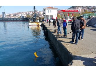 Deniz suyunun ani soğuması balıkları şoka soktu